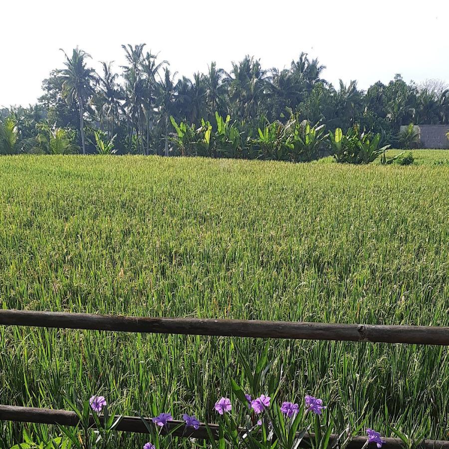 אובוד Pb Pondok Gandalangu Garden House Bali מראה חיצוני תמונה